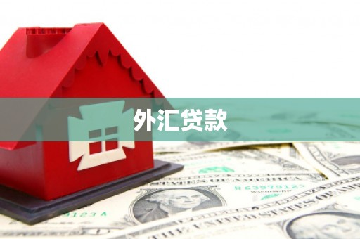 青铜峡外汇贷款