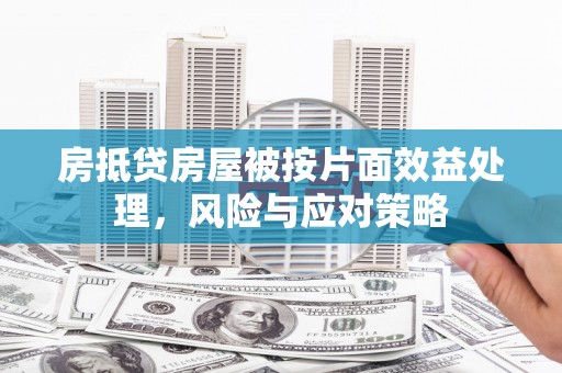 景县房抵贷房屋被按片面效益处理，风险与应对策略